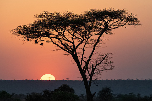 Sunrise. Samburu