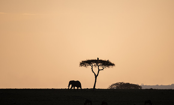 Evening Light, Mara Triangle