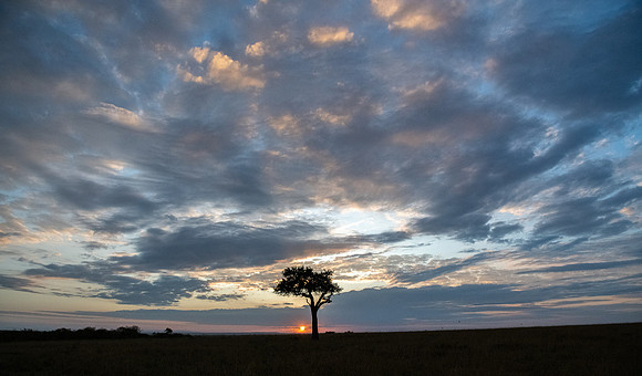 Dawn, Masai Mara