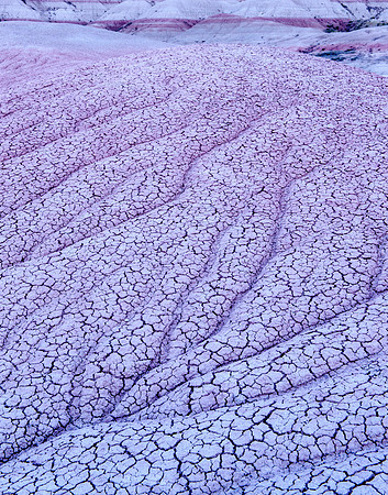 Badlands NP, SD