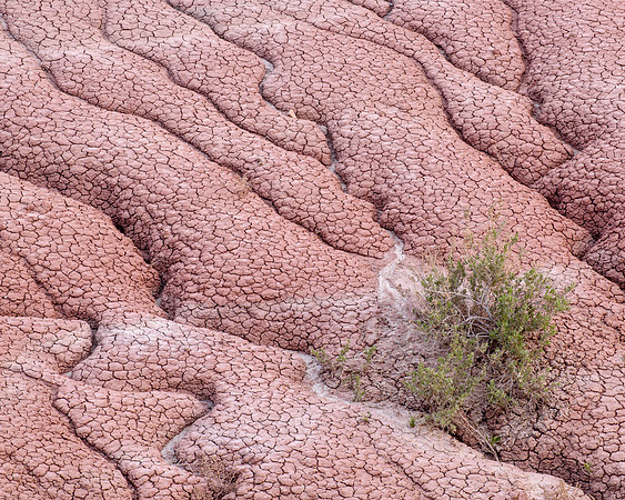 Badlands NP, SD
