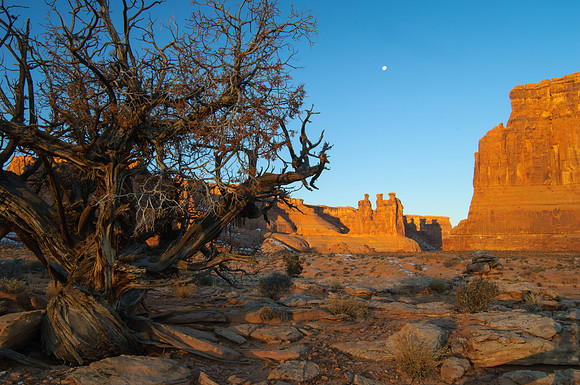 Three Gossips, Arches NP