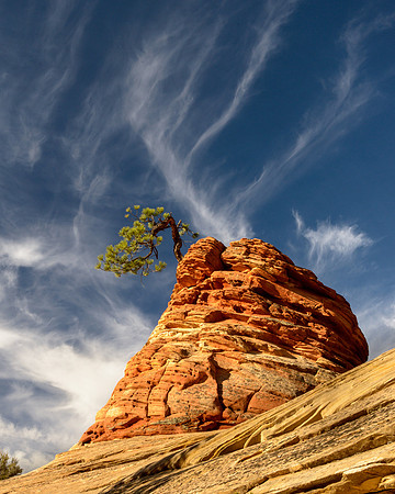 Zion NP , UT