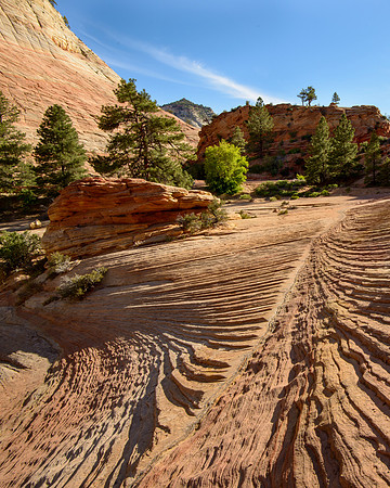 Zion NP, UT