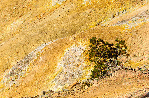 Lassen Volcanic NP, CA