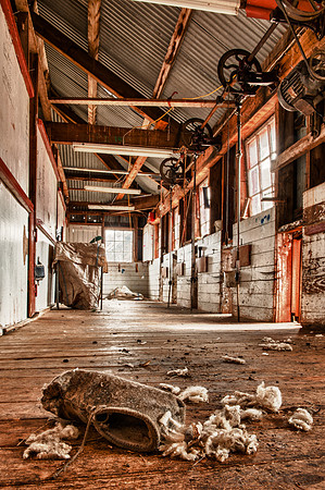 Shearing Shed