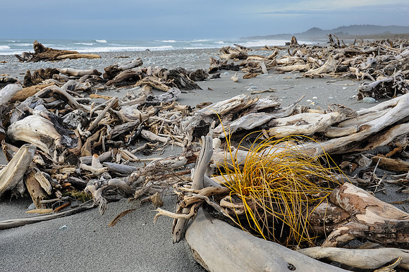 Gillespie's Beach