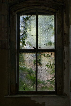 Through a Glass Window