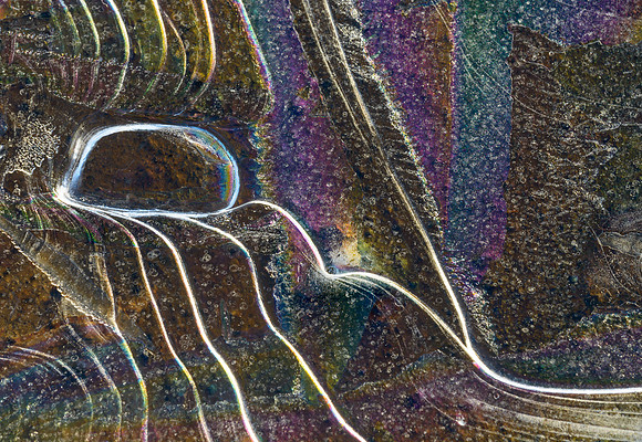Frozen Pond