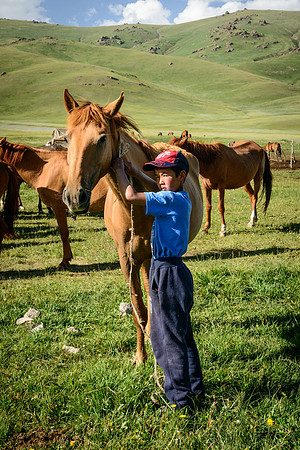 Boy with Mare, Song Kul