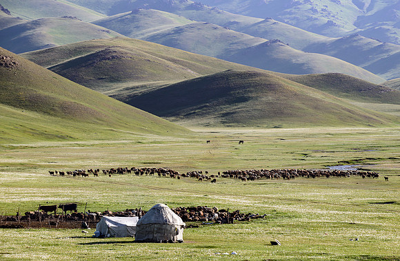 Herder Camp, Song Kul