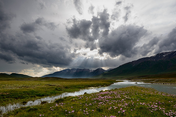 Late Light, Burkan River Camp