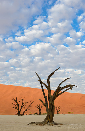 Deadvlei