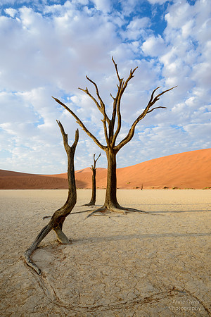 Deadvlei