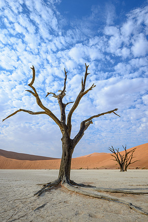 Deadvlei