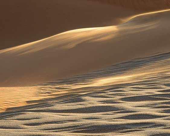 Dune Details, Sossusvlei