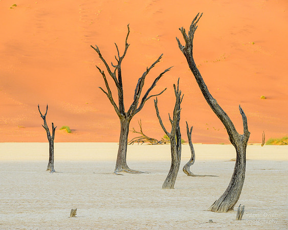 Deadvlei
