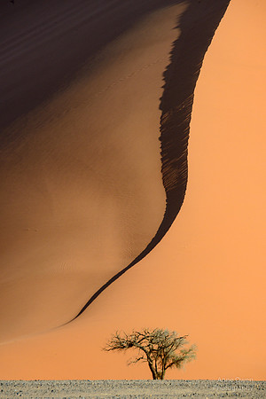 Dune Edge, Sossusvlei