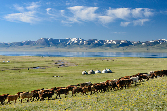 Song-Kul
