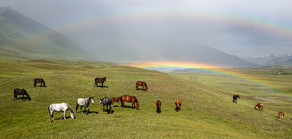 Horses and Rainbow, Jailoo-Suu