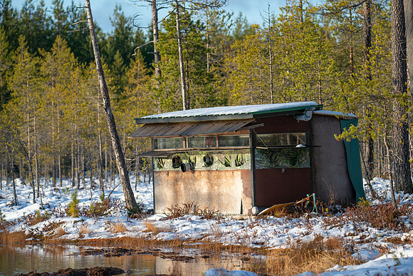 Photo Hide at The Lake
