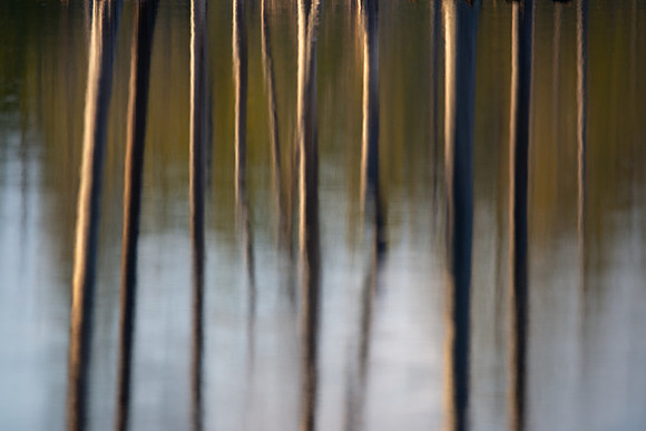 Reflections at The Lake