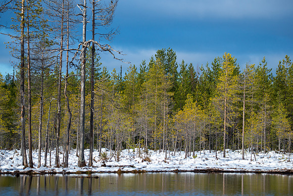 The Lake