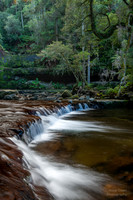 Below Liffey Falls