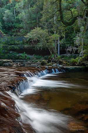 Below Liffey Falls
