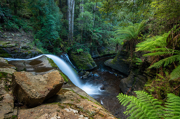 Liffey Falls