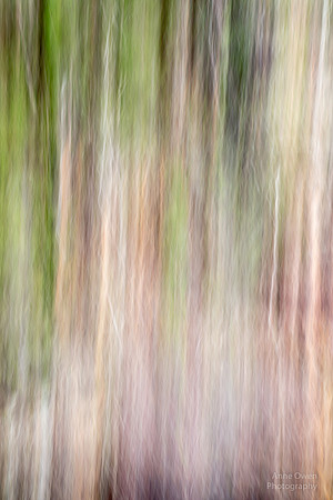 Color Swipe