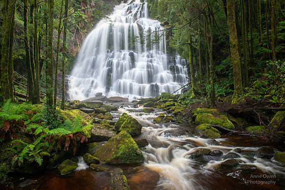 Nelson Falls