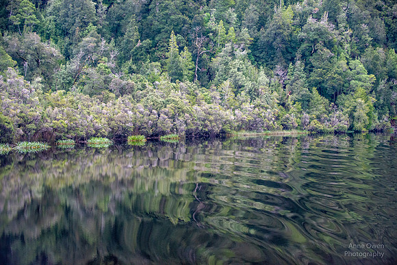 Gordon River
