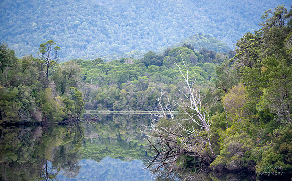Gordon River