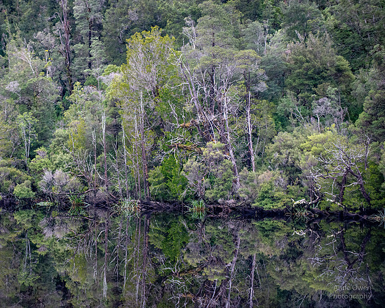 Gordon River