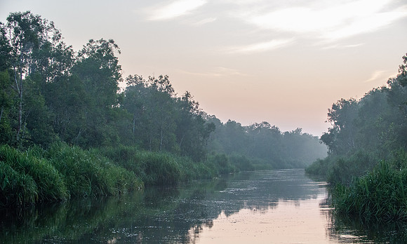 Sekonyer River with morning mist