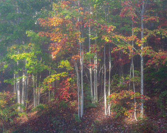 Foothills Parkway, TN