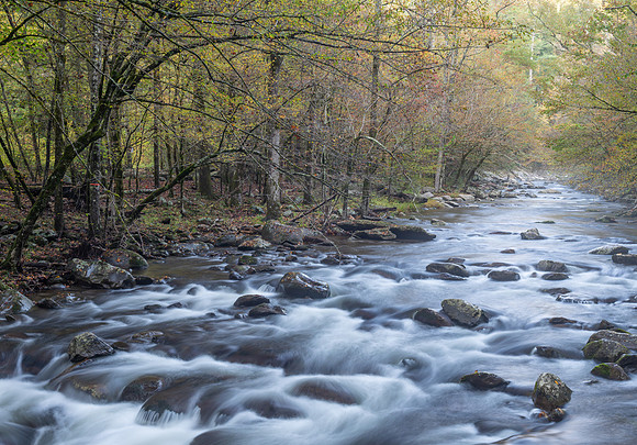 Tremont, TN