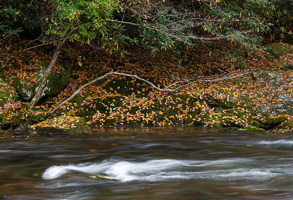Little River Rd, TN